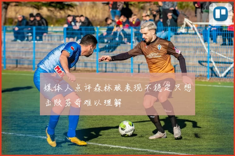 媒体人点评森林狼表现不稳定只想击败芬奇难以理解